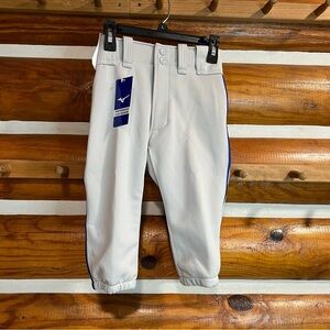 Mizuno Kids Gray and‎ Blue Baseball Short Pants